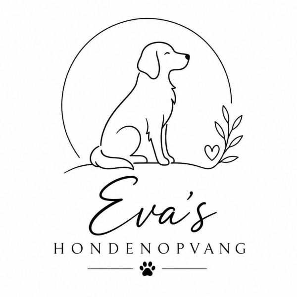 Hondenoppas Eva uit Feanwâlden