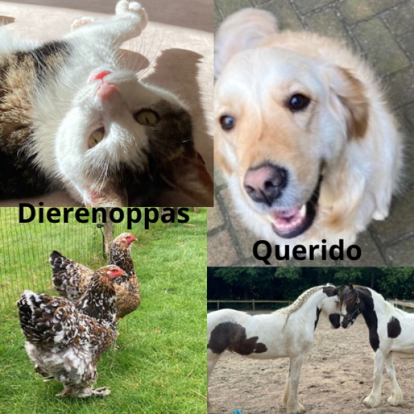 Huisdierenoppas Claudia uit Zeewolde