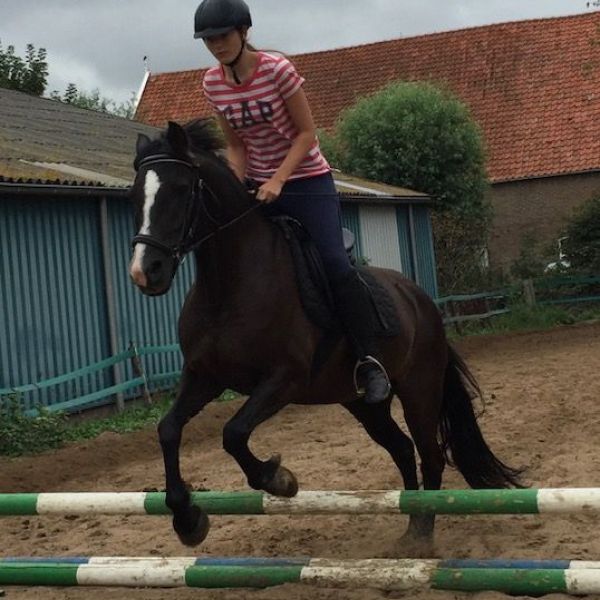 Huisdierenoppas Susan uit Leusden