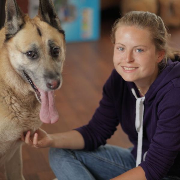 Huisdierenoppas Henrianne uit Amsterdam