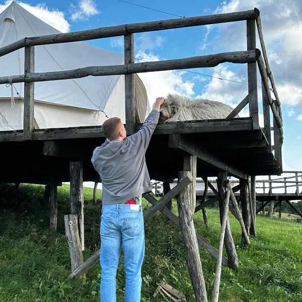 Hondenoppas Hendrik uit Delft