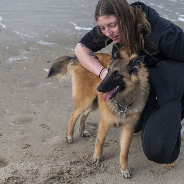 Hondenoppas shenandoah uit Zeewolde