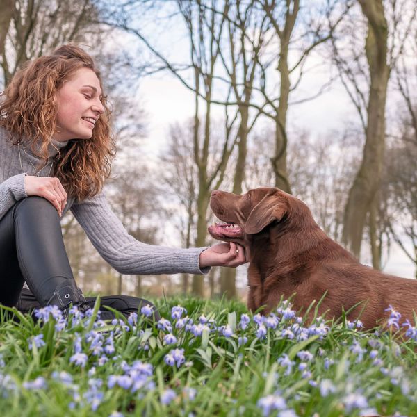 Hondenoppas Inga uit Balkbrug