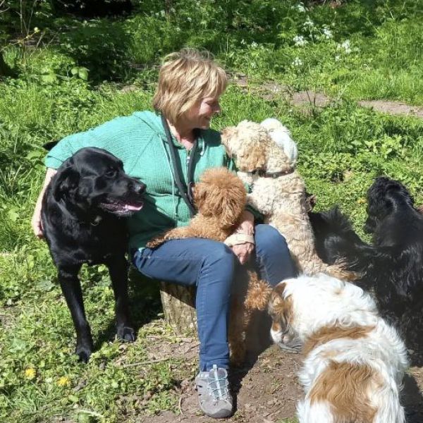 Hondenoppas Arja uit Dordrecht