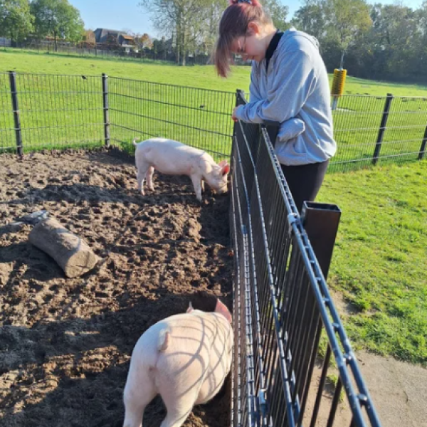 Huisdierenoppas Famke uit Castricum