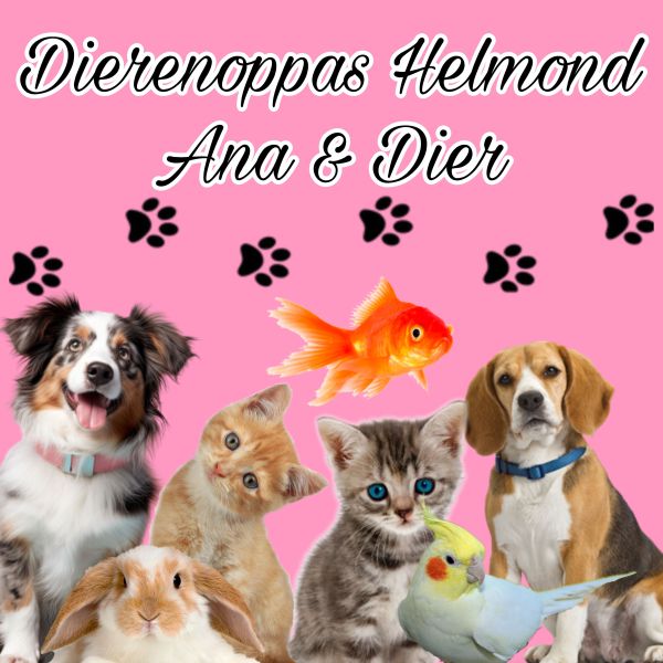 Huisdierenoppas Ana uit Helmond