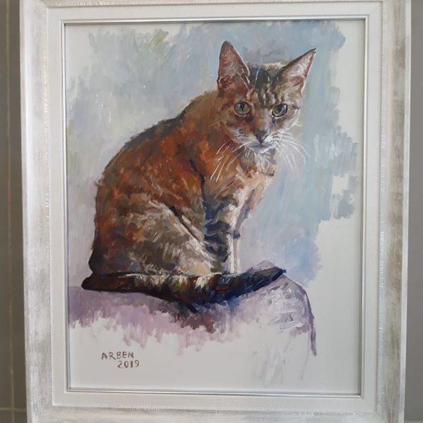 Kattenoppas Abigail uit Amsterdam