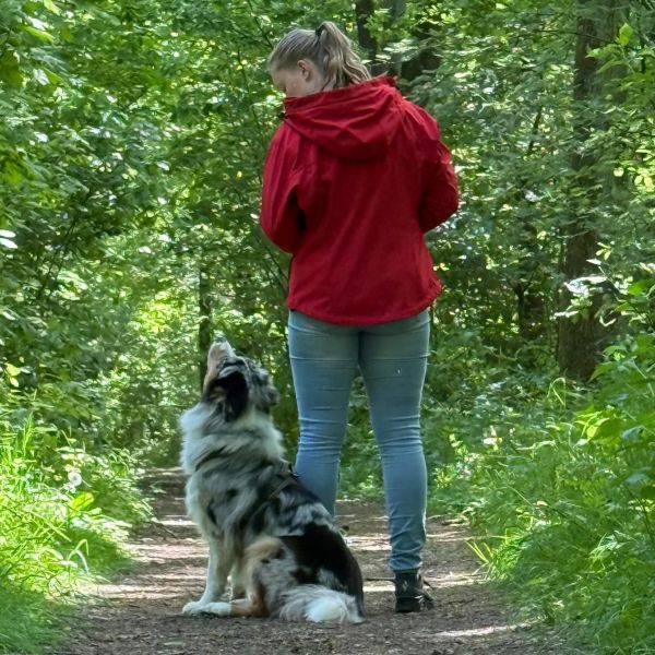 Hondenoppas Sanneke uit Noordbeemster