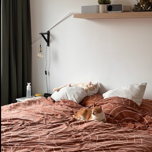 Oscar, Victor uit Linne zoekt een Kattenoppas