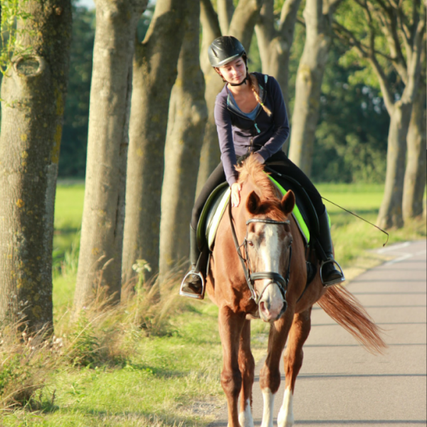 Huisdierenoppas Luka uit Monnickendam
