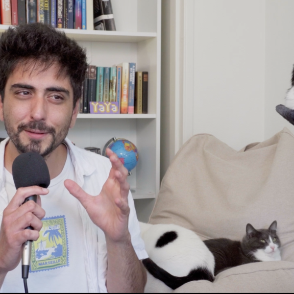 Huisdierenoppas Alexandre uit Leeuwarden