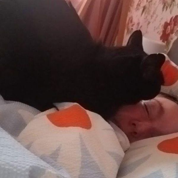 Huisdierenoppas Rebecca uit Groningen