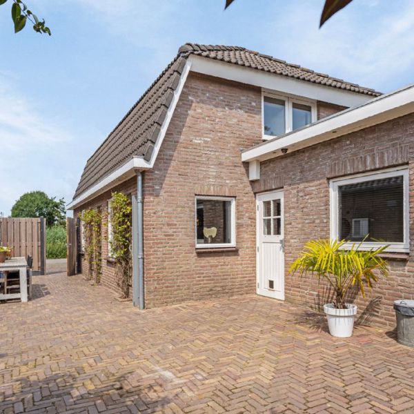 Jillz, CC uit Hurwenen zoekt een Kattenoppas