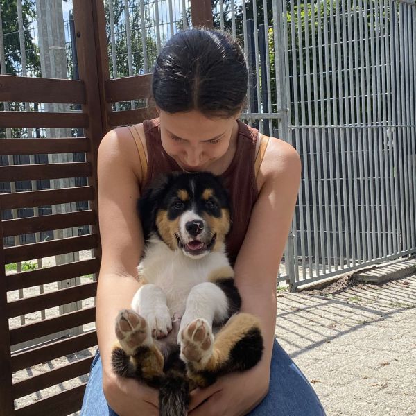 Huisdierenoppas Milou uit Lelystad