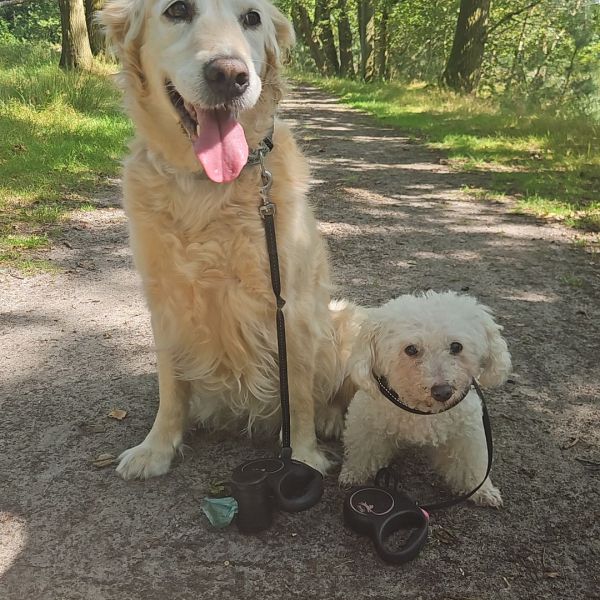 Huisdierenoppas Selma uit Zuiddorpe