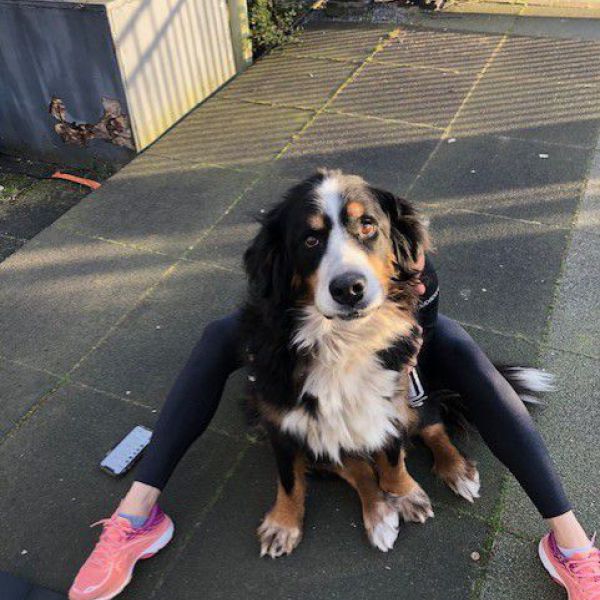 Hondenoppas Femke uit Amsterdam