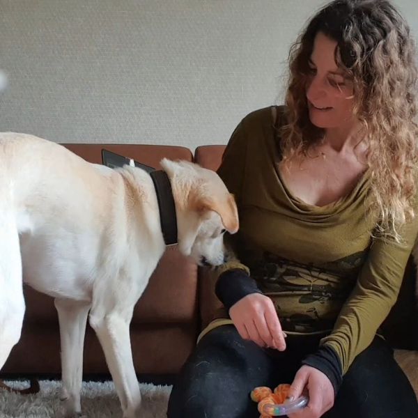 Huisdierenoppas Gabriella uit De Bilt