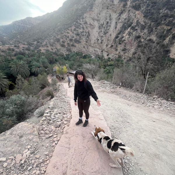 Huisdierenoppas Rianne uit Utrecht