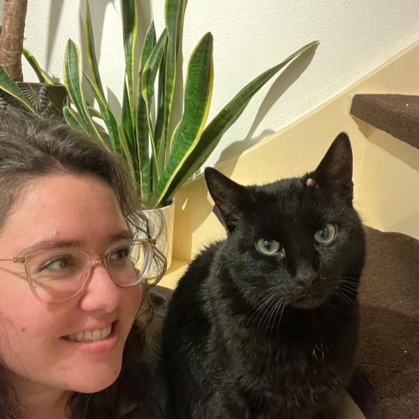 Hunky, Pukkie uit Groesbeek zoekt een Kattenoppas