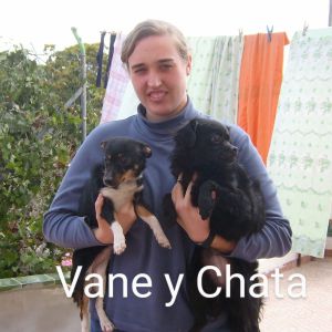 Image description