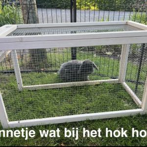 Image description