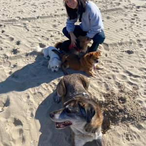 Image description
