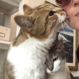 Image description