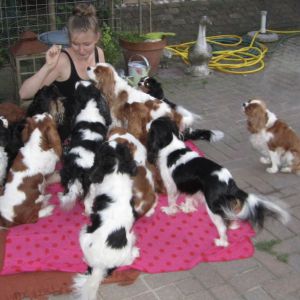 Image description