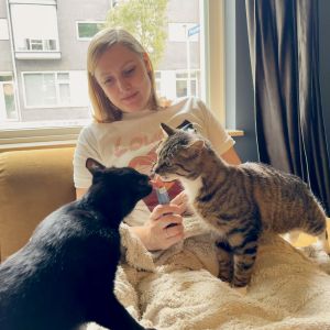 Image description