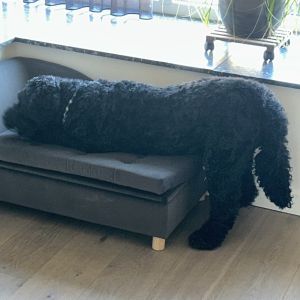 Image description