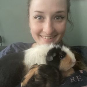 Image description