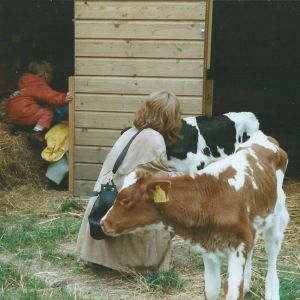 Image description
